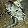 Freya is registered to the contest to win money with this photo: