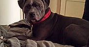 Freya is registered to the contest to win money with this photo: