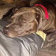 Freya is registered to the contest to win money with this photo: