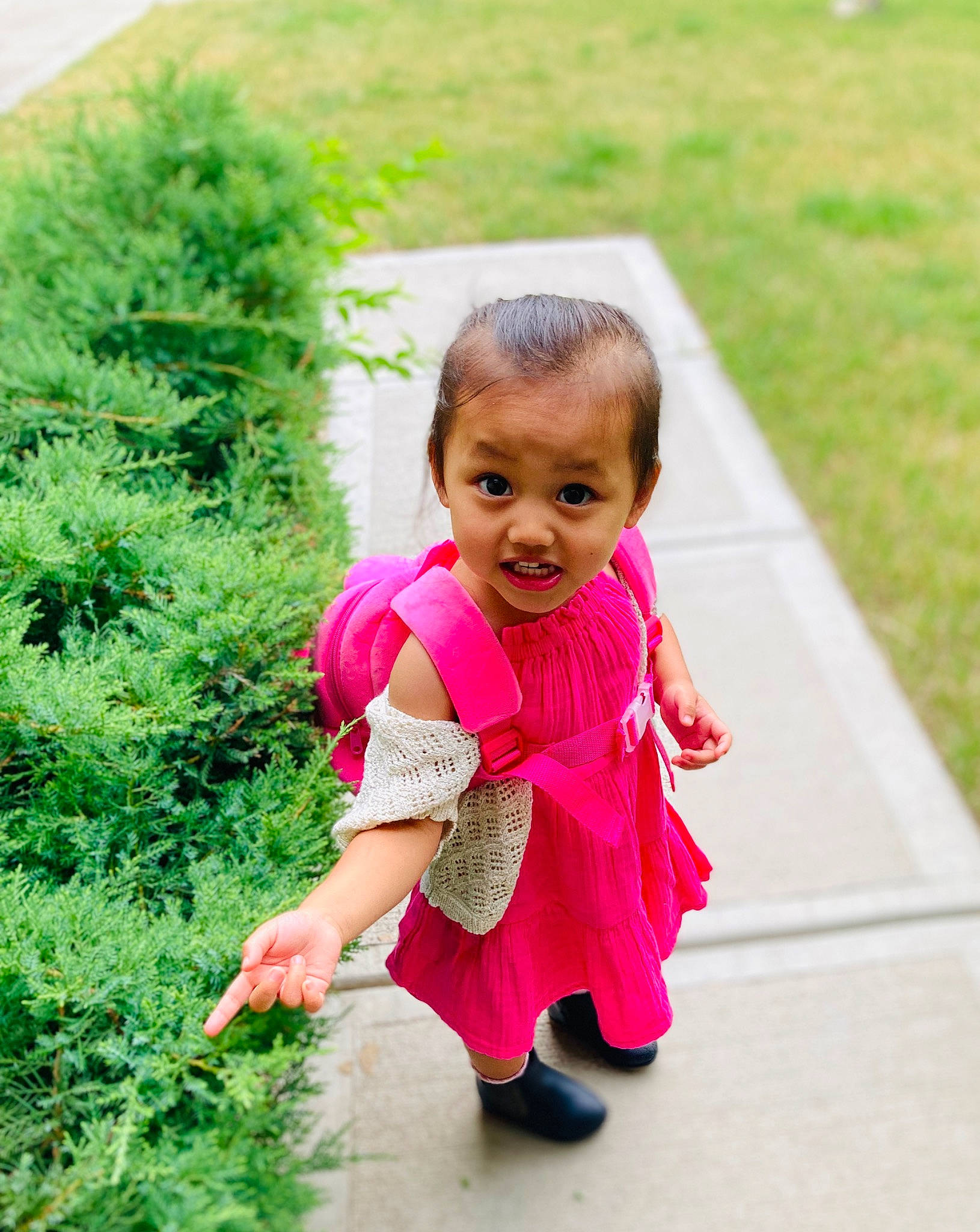 Hannah joined the competition — help win amazing prizes! baby, baby_toddler_clothing, child, dress, fun, grass, grassland, groundcover, happy, landscape, leisure, magenta, people_in_nature, person, plant, recreation, smile, soil, terrestrial_plant, toddler