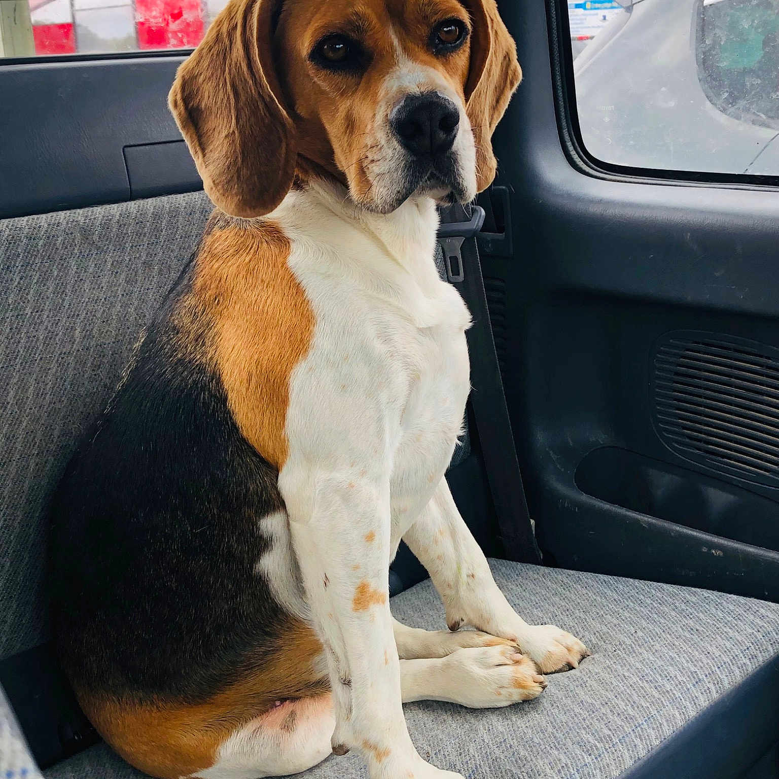 Lia