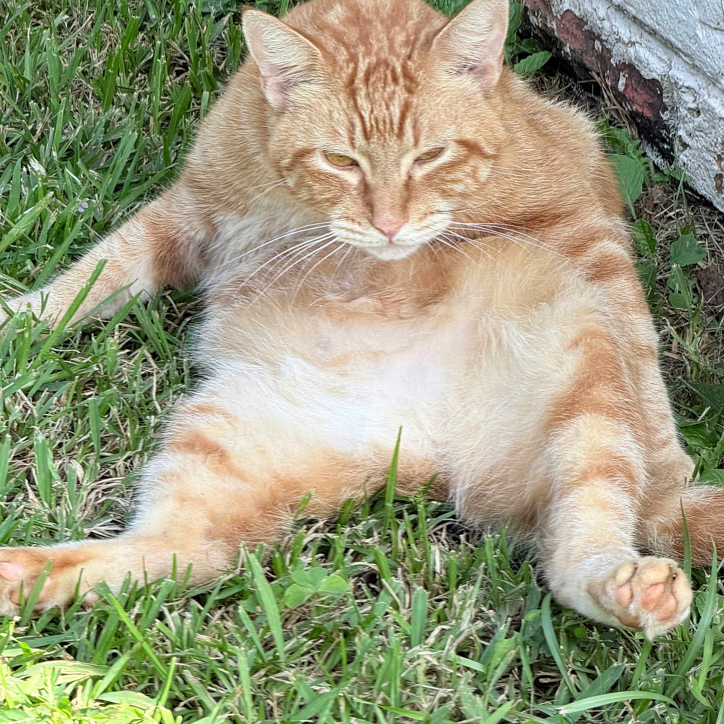 Baxter