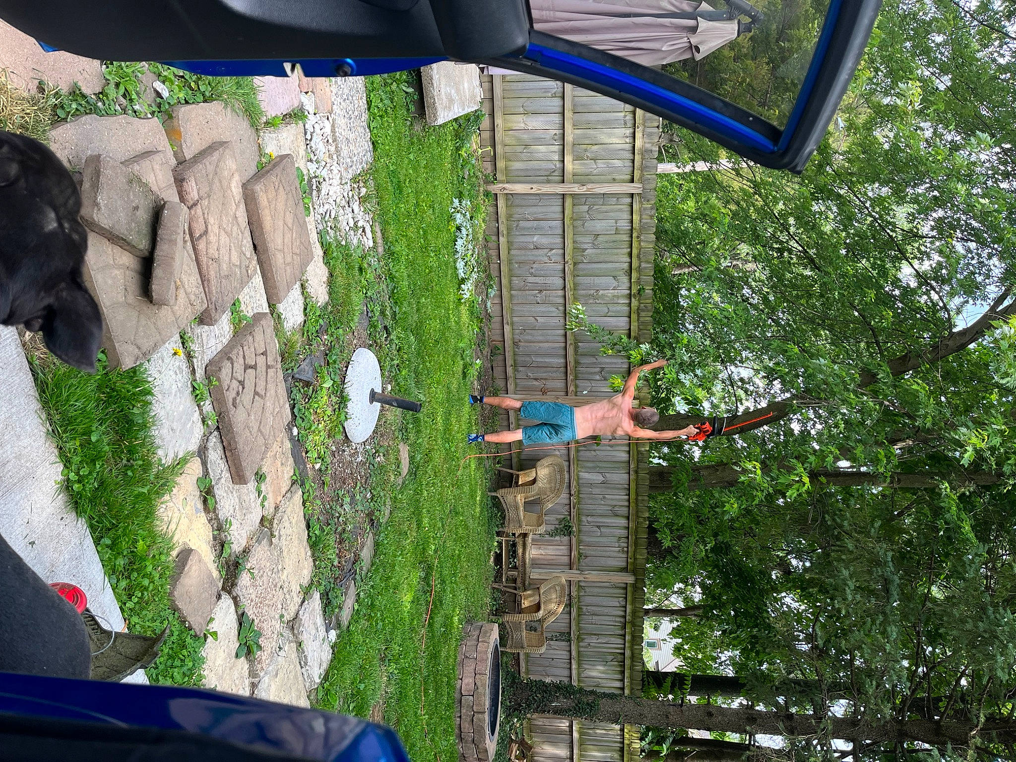 Ariya joined the competition — help win amazing prizes! adventure, art, blue, fun, grass, green, groundcover, landscape, leisure, person, plant, pole, recreation, rock, rope, shrub, t_shirt, tree, trunk, window