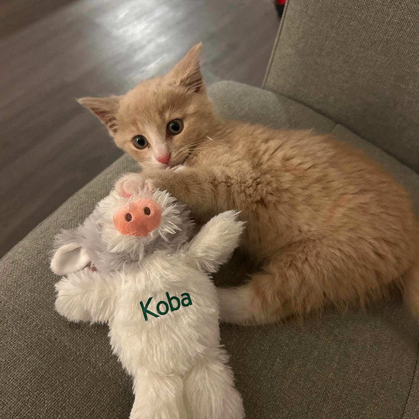 Koba