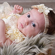 Addison is registered to the contest to win money with this photo: baby, infant, face, headband, lace, flower, basket, fur, soft_texture, closeup, portrait, cute, child, newborn, skin, expression, laying_down, indoors, clothing, peaceful