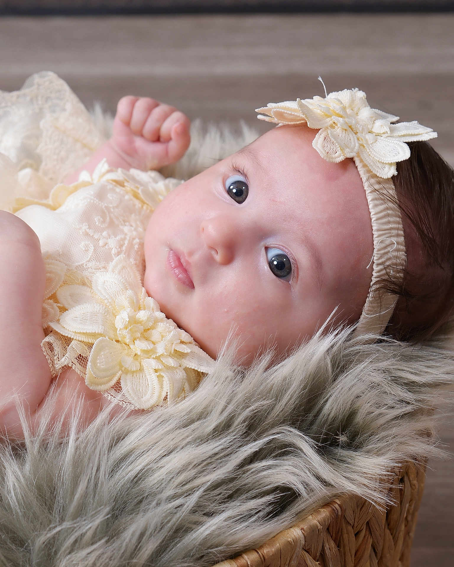 Addison is registered to the contest to win money with this photo: baby, infant, face, headband, lace, flower, basket, fur, soft_texture, closeup, portrait, cute, child, newborn, skin, expression, laying_down, indoors, clothing, peaceful