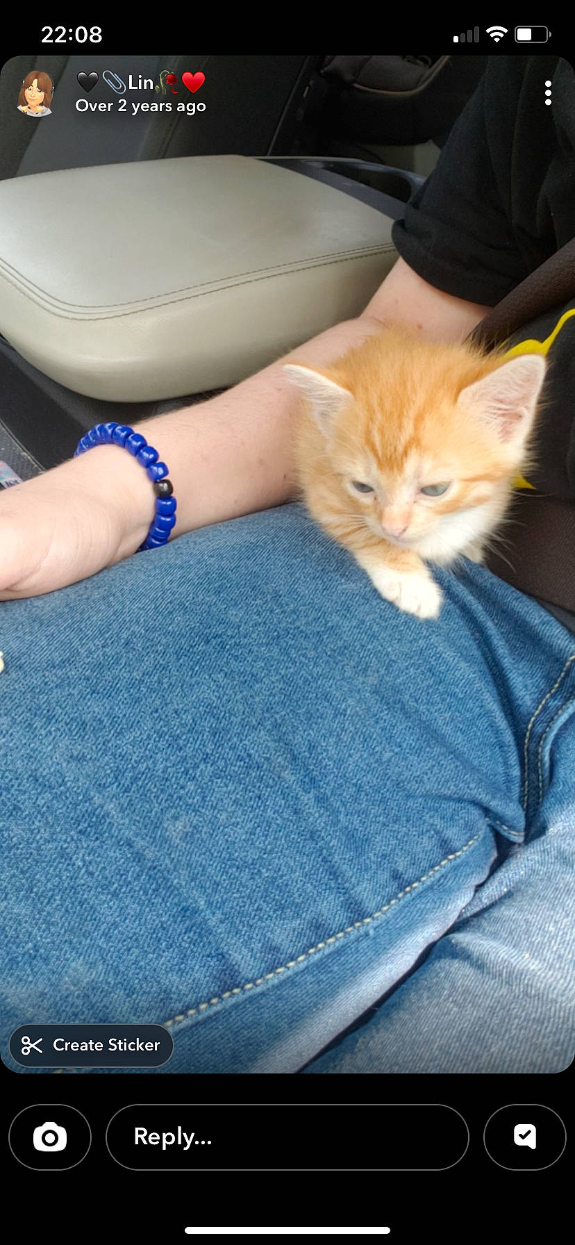 Chili is registered to the contest to win money with this photo: animal, arm, beige_seat, black_shirt, blue_jeans, bracelet, car_interior, cute, indoor, kitten, lap, orange_cat, person, pet, resting, screenshot, seatbelt, small_cat, social_media, story