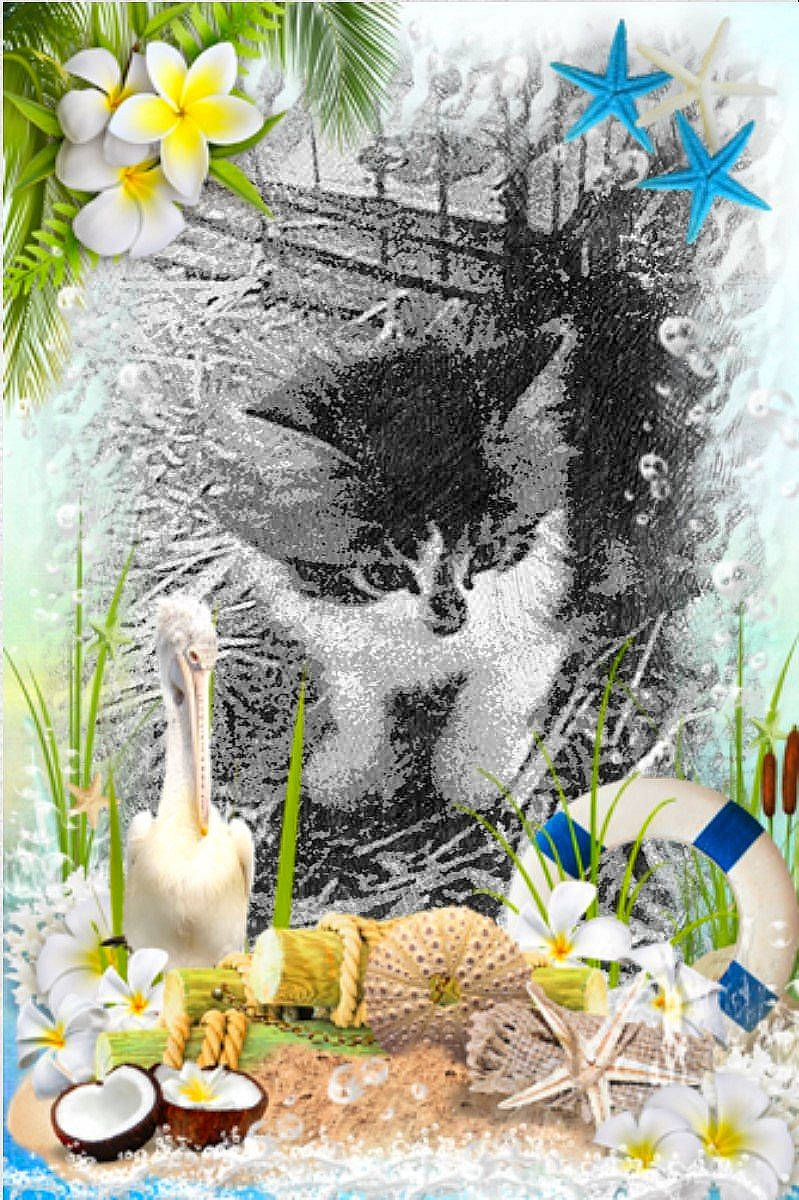 Raki a rejoint le concours — aidez-le/la à gagner de superbes lots ! _geese_and_swans, art, bird, botany, carnivore, cat, ducks, felidae, flower, font, grass, leaf, natural_landscape, nature, organism, petal, plant, terrestrial_plant, vegetation, whiskers