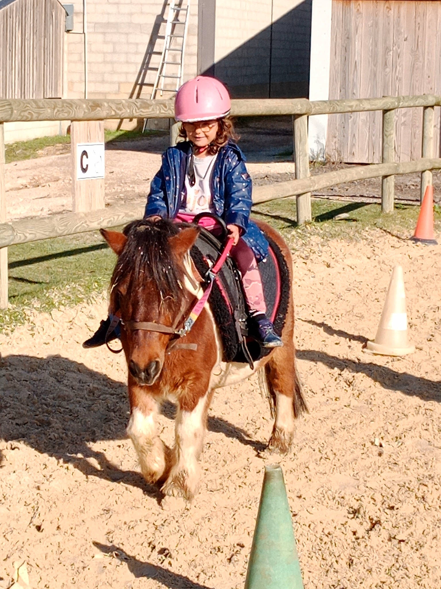 Sophia a rejoint le concours — aidez-le/la à gagner de superbes lots ! animal_sports, bit, bridle, english_riding, equestrian_helmet, equestrian_sport, equestrianism, headwear, helmet, horse, horse_supplies, horse_tack, jockey, mane, pack_animal, person, personal_protective_equipment, plant, rein, saddle