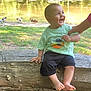 baby, barefoot, child, clothing, ducks, grass, hand, laughing, log, nature, outdoor, person, pond, shorts, smiling, summer, sunlight, tree, tshirt, water