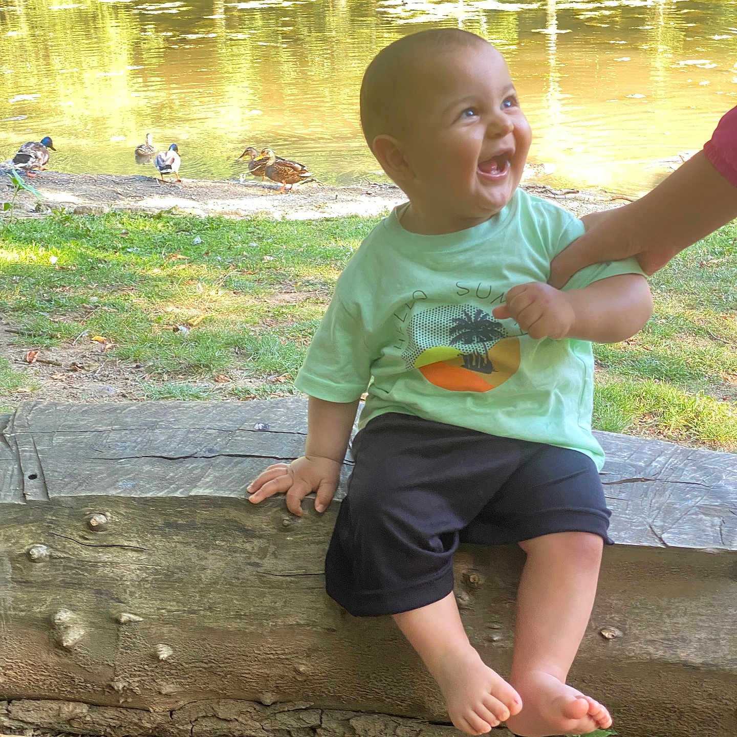 Jad Erradi a rejoint le concours — aidez-le/la à gagner de superbes lots ! baby, barefoot, child, clothing, ducks, grass, hand, laughing, log, nature, outdoor, person, pond, shorts, smiling, summer, sunlight, tree, tshirt, water