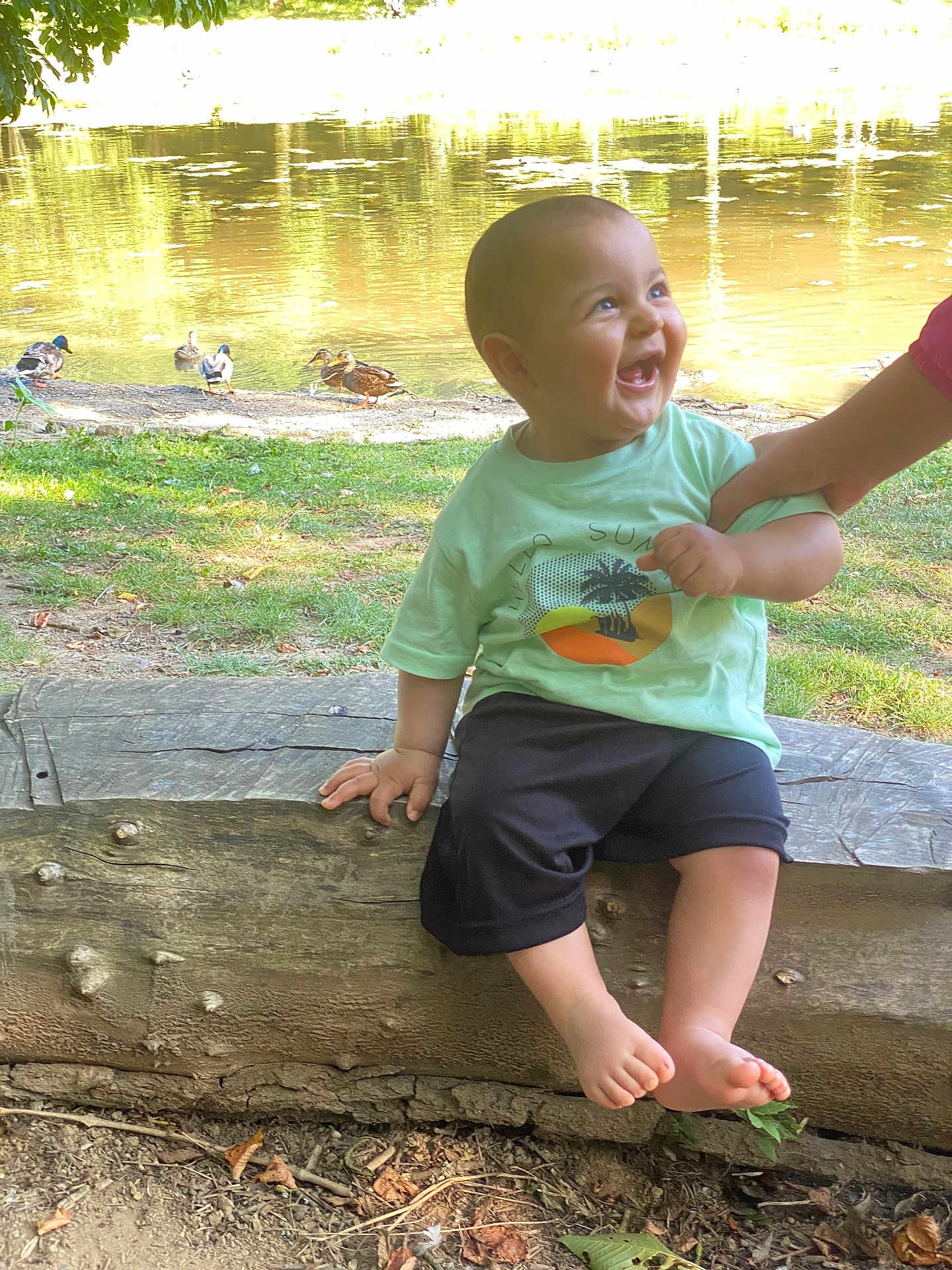 Jad Erradi a rejoint le concours — aidez-le/la à gagner de superbes lots ! baby, child, smiling, laughing, pond, ducks, water, grass, tree, log, outdoor, nature, summer, sunlight, hand, person, clothing, shorts, tshirt, barefoot