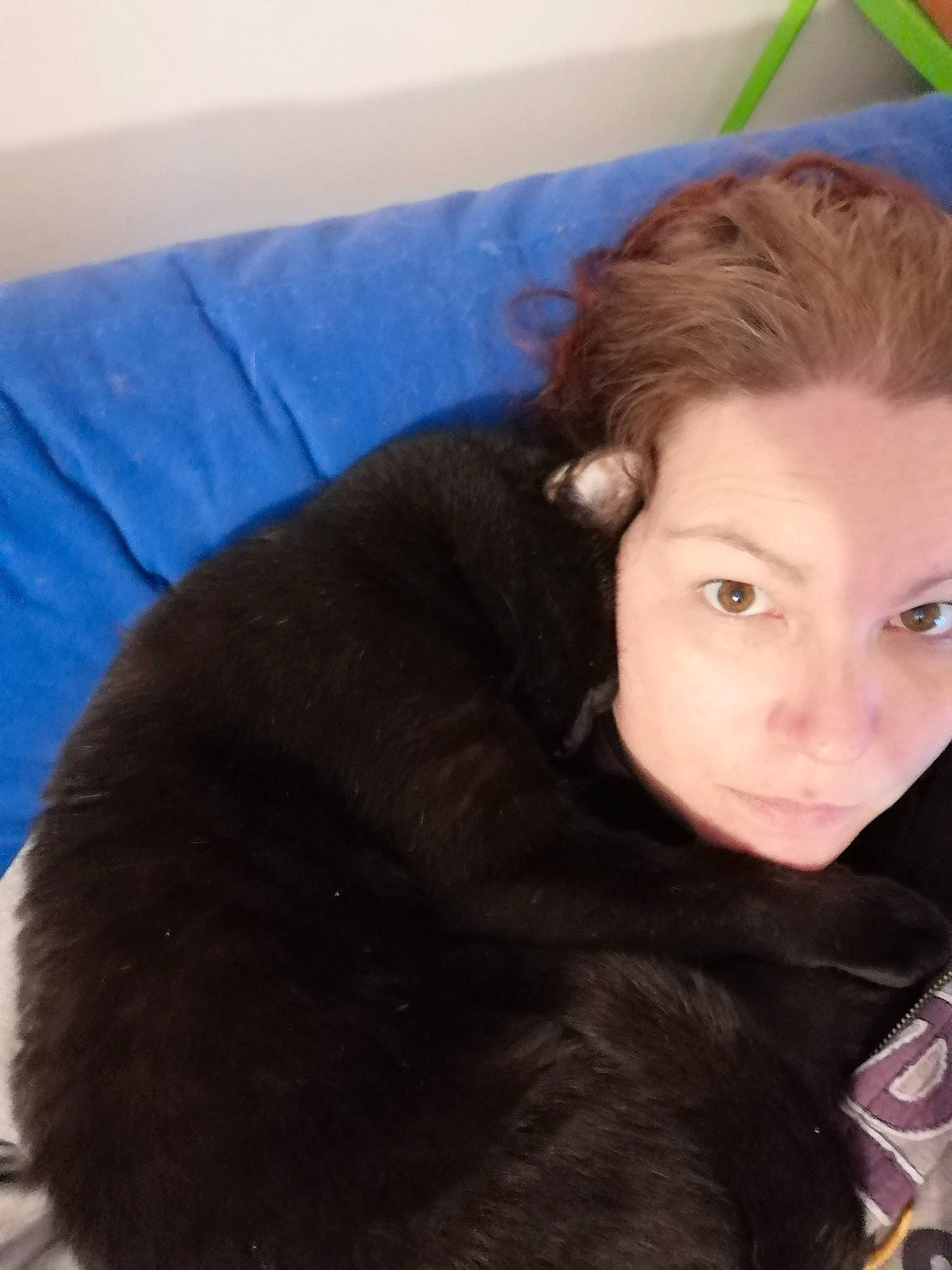 Kiwi a rejoint le concours — aidez-le/la à gagner de superbes lots ! black_hair, brown_hair, child, eye, eyebrow, face, fur, hair, hairstyle, head, lip, long_hair, nose, skin, textile