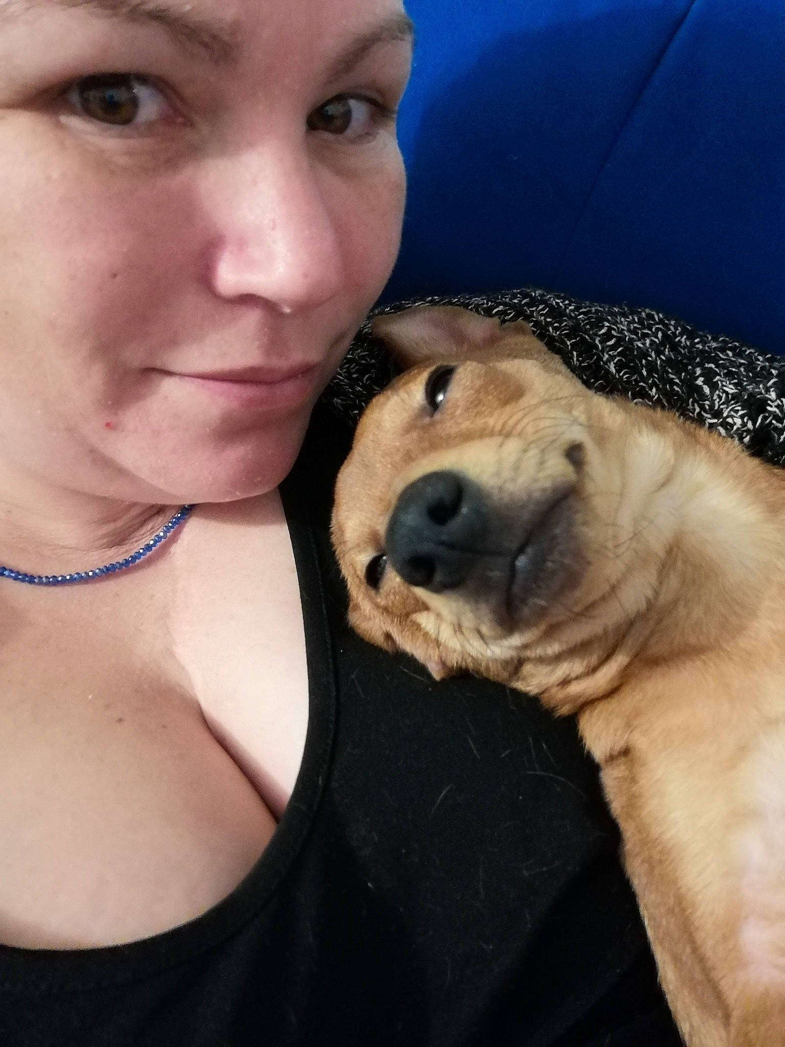 Yuky participe au concours pour gagner de l'argent avec cette photo : canidae, carnivore, companion_dog, dog, dog_breed, fawn, mammal, nose, photography, puppy, puppy_love, selfie, snout, sporting_group