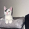 Sushi a rejoint le concours — aidez-le/la à gagner de superbes lots ! cat, kitten, white_cat, gray_markings, green_eyes, sitting, paws, whiskers, ears, portrait, indoor, cat_tree, scratching_post, pet_furniture, soft_surface, wall, home, direct_gaze, flash_photography, animal
