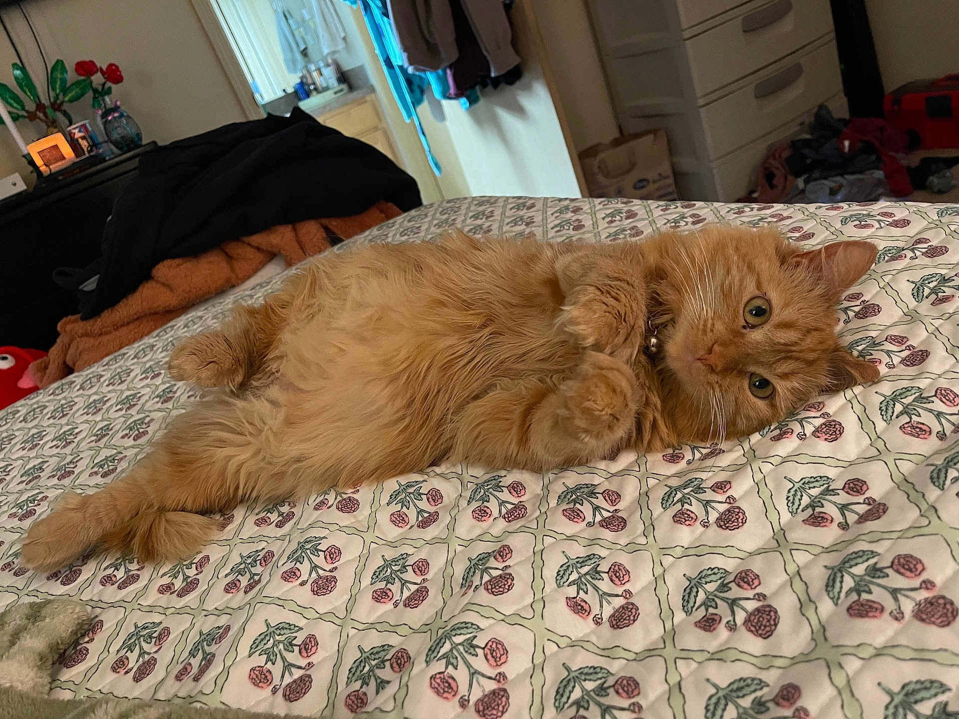 Winnie