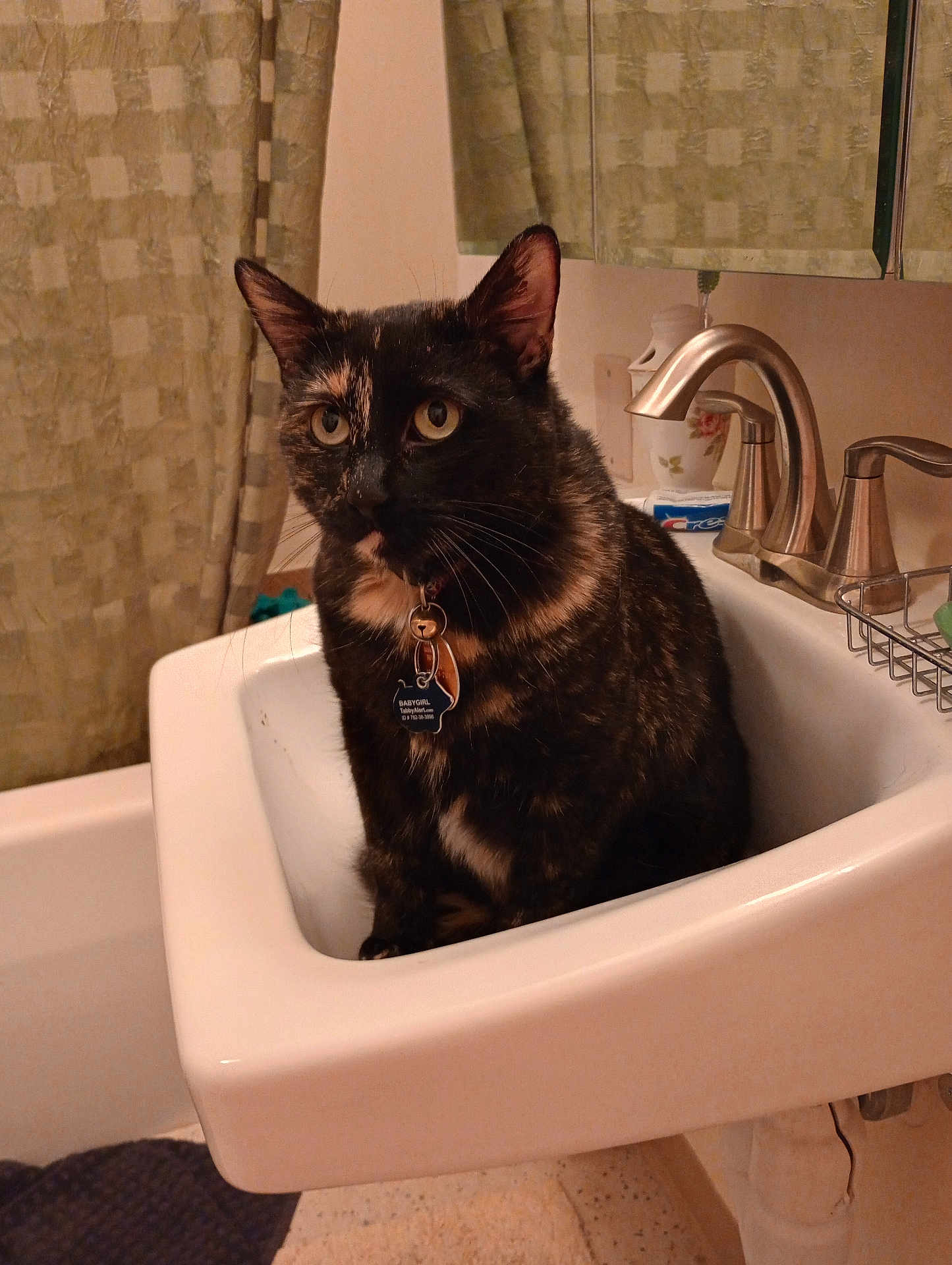 Boo is registered to the contest to win money with this photo: cat, tortoiseshell_cat, sink, bathroom, faucet, curtain, indoor, pet, collar, tag, animal, domestic_cat, feline, toothpaste, mirror, bathmat, tile_floor, plumbing, household, curious