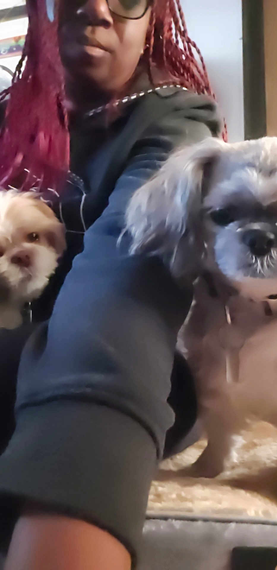 Gizmo