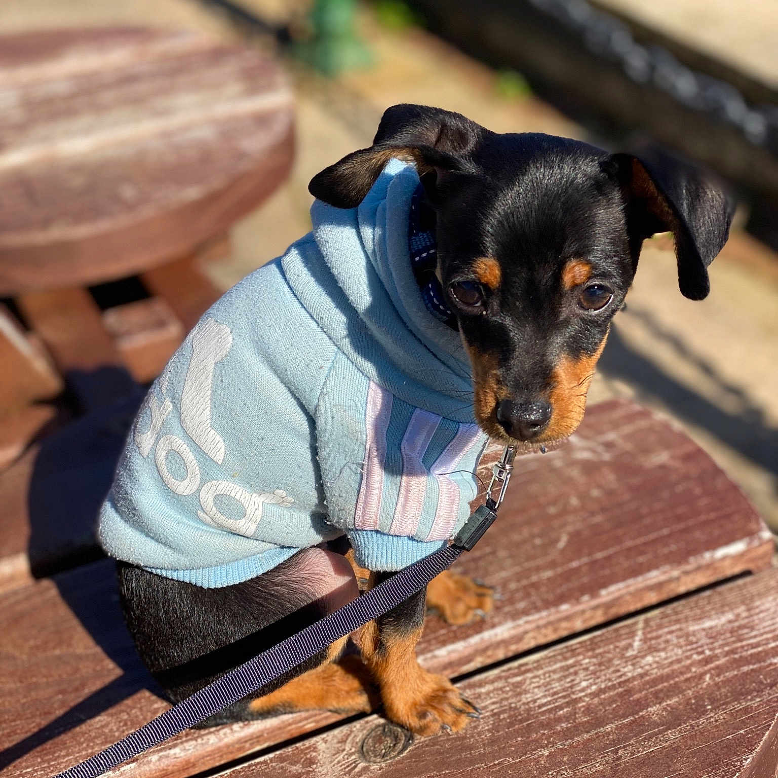 Beau