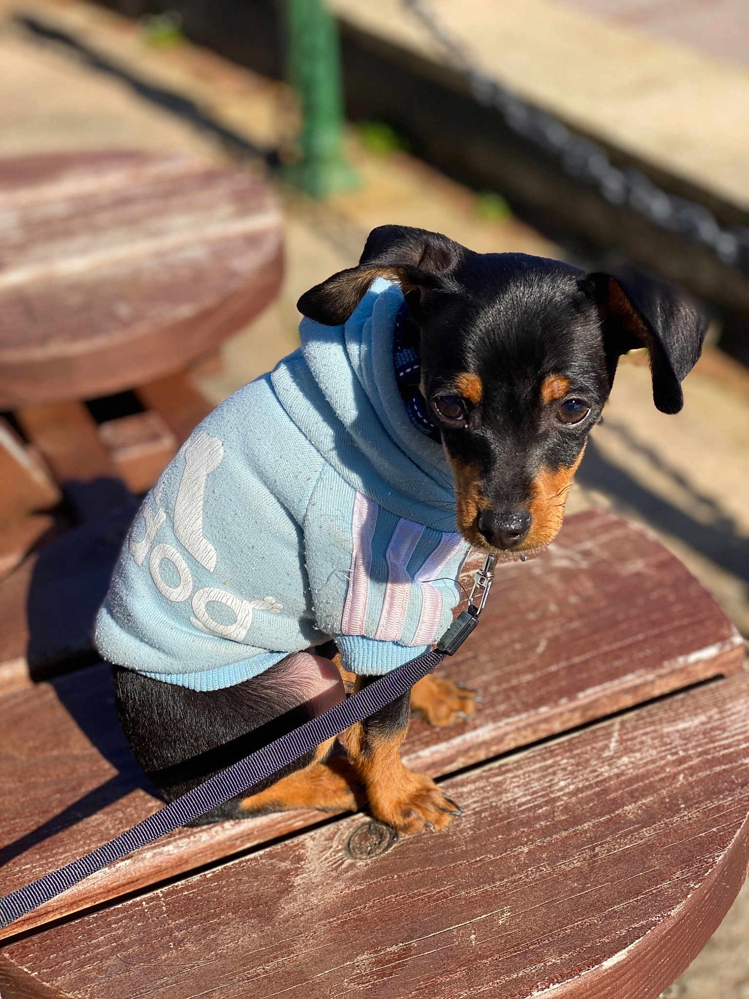 Beau