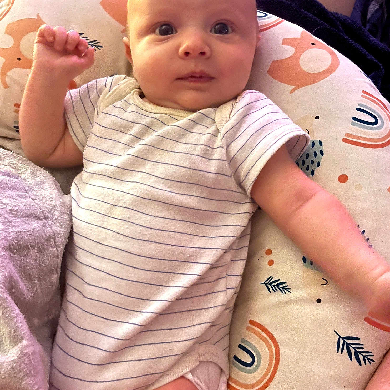 Liam is registered to the contest to win money with this photo: baby, bed, blanket, bodypart, clothing, couch, cushion, face, finger, furniture, hand, head, homedecor, newborn, person, photography, portrait, quilt, shorts, t_shirt