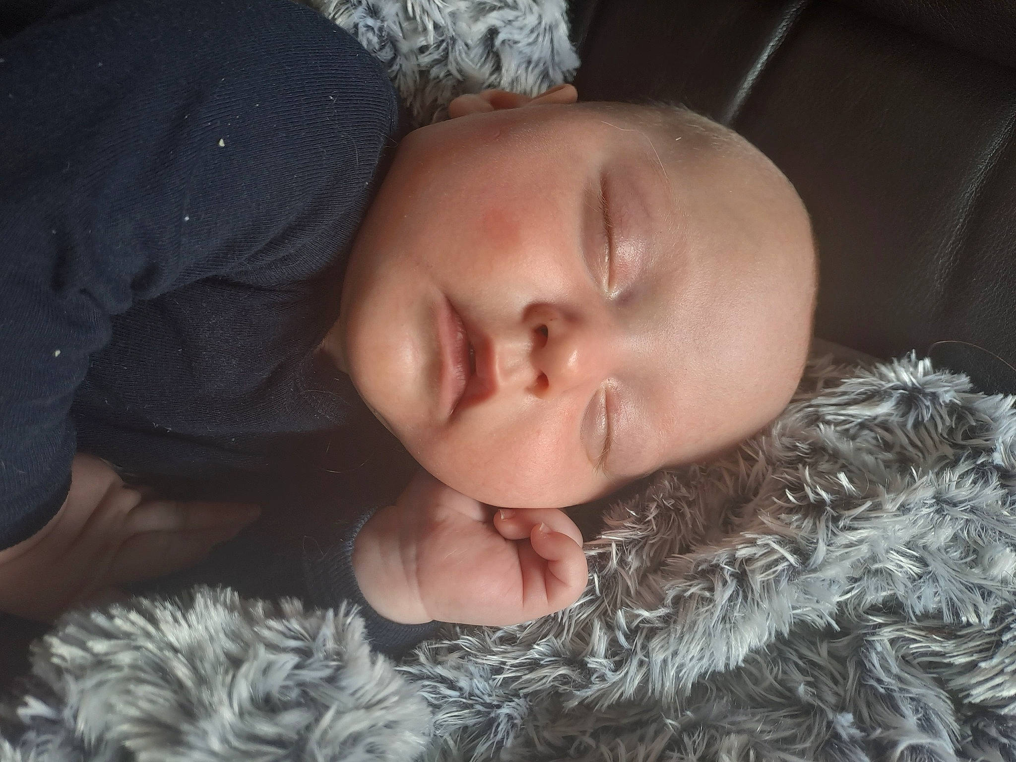 Ayden a rejoint le concours — aidez-le/la à gagner de superbes lots ! baby, baby_toddler_clothing, cheek, child, comfort, cool, eyebrow, eyelash, fun, fur, fur_clothing, gesture, iris, lip, mouth, neck, nose, person, skin, sleeve