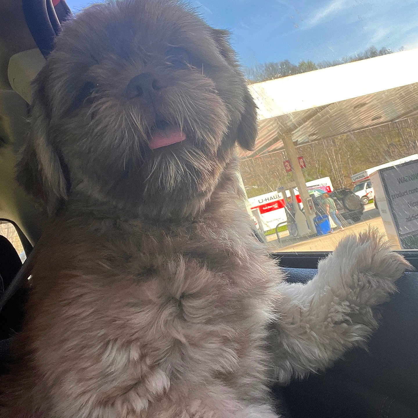 Coco