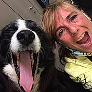 Naya Et Guilly participe au concours pour gagner de l'argent avec cette photo : dog, person, yawning, selfie, black_and_white_dog, happy, tongue, open_mouth, face, indoor, casual_clothing, neck_gaiter, yellow_shirt, joyful, pet, companion, close_up, animal, smiling, human