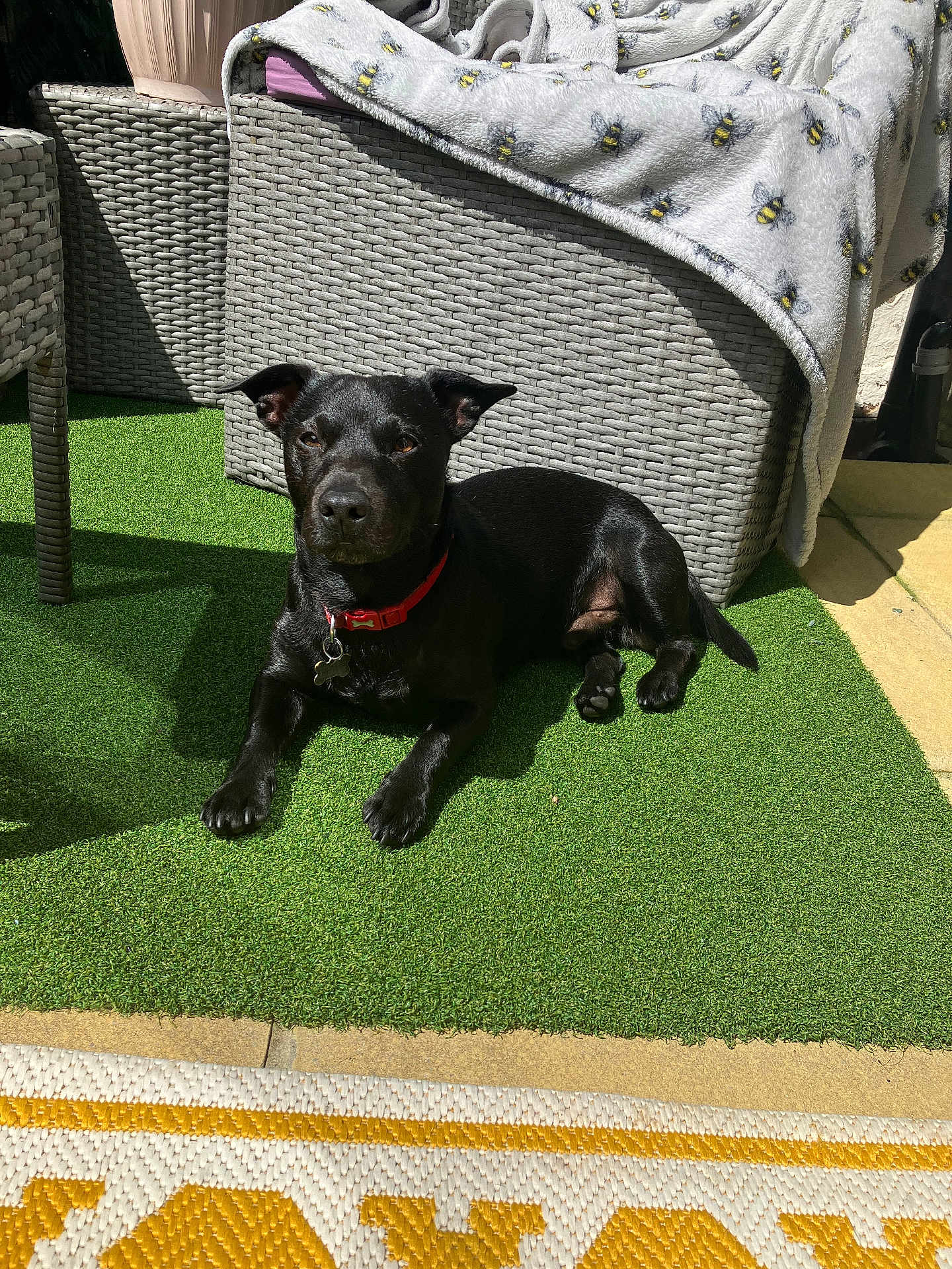 Jet