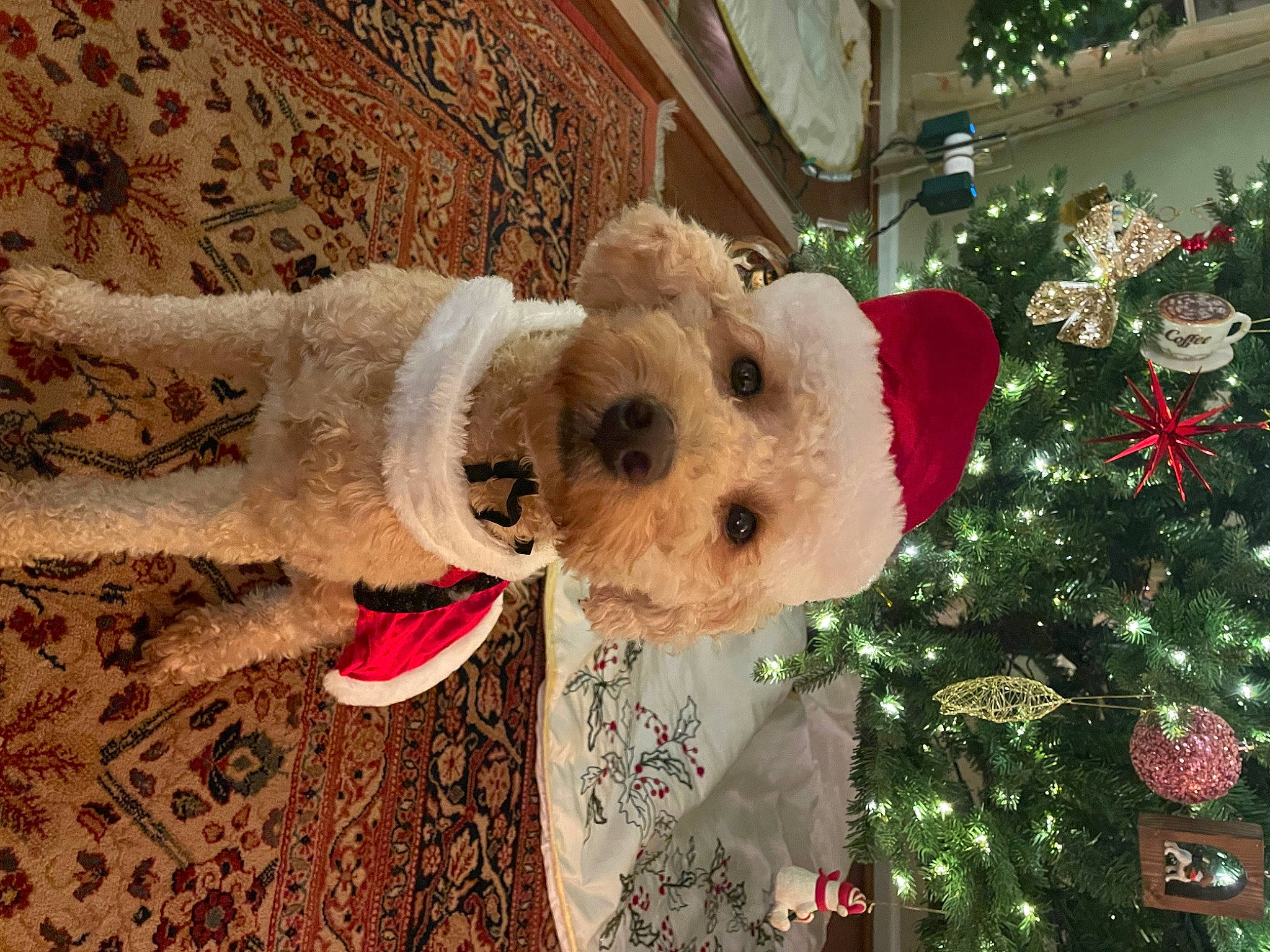 Ella joined the competition — help win amazing prizes! carnivore, christmas, christmas_decoration, christmas_eve, christmas_ornament, christmas_tree, companion_dog, conifer, dog, event, evergreen, fawn, fur, holiday, holiday_ornament, ornament, stuffed_toy, toy, winter, wood