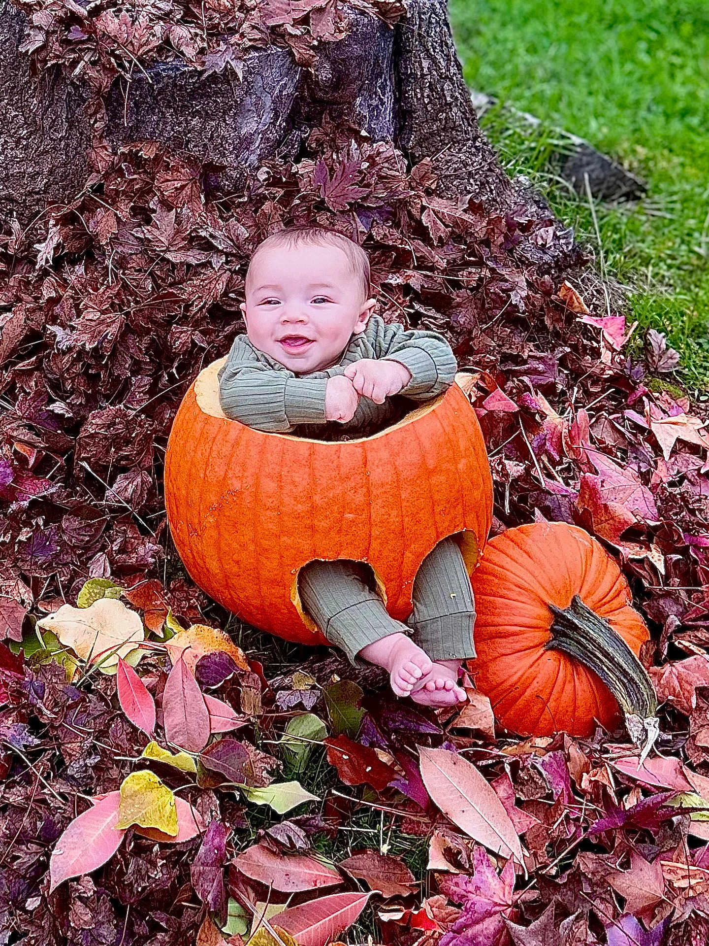 Earnan joined the competition — help win amazing prizes! autumn, baby, barefoot, child, cute, fall, grass, green_clothing, happy, holiday, leaves, nature, outdoor, playful, portrait, pumpkin, seasonal, sitting, smile, tree