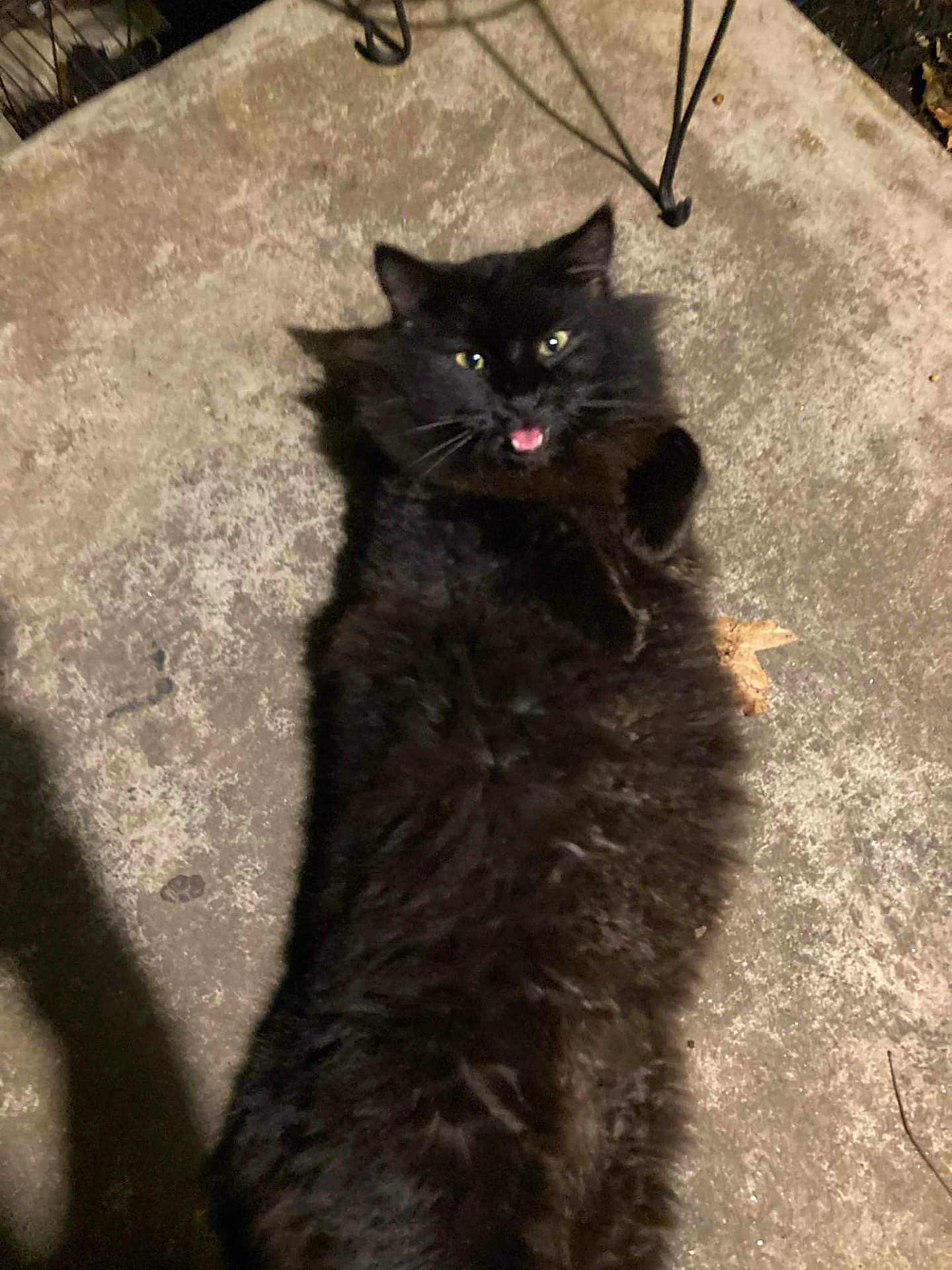 Smokey