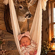Hallie joined the competition — help win amazing prizes! newborn, baby, sleeping, infant, hammock, sling, bow, headband, floral_clothing, deer, antlers, taxidermy, rustic, cabin, wooden_walls, candle, warm_lighting, indoor, portrait, cozy