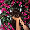 animal, closeup, colorful, cute, decor, dog, door, flowers, fluffy, glass_door, green_leaves, hands, holding, indoor, nature, pet, pink_flowers, puppy, window_pane, wreath