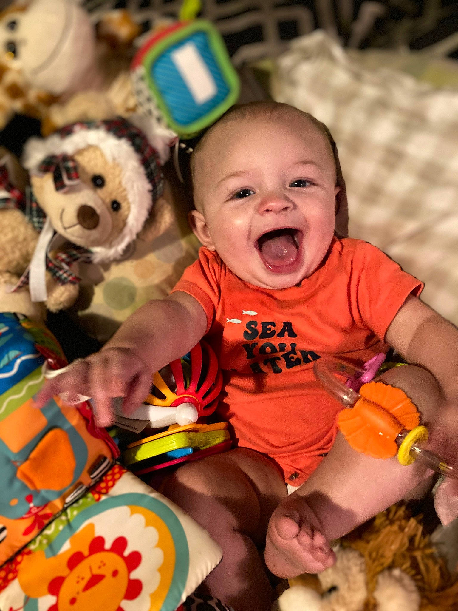 Hunter joined the competition — help win amazing prizes! baby, baby_toddler_clothing, child, fawn, fun, grass, green, happy, mammal, people, person, pink, playing_with_kids, shorts, skin, smile, toddler, toy, vertebrate, white