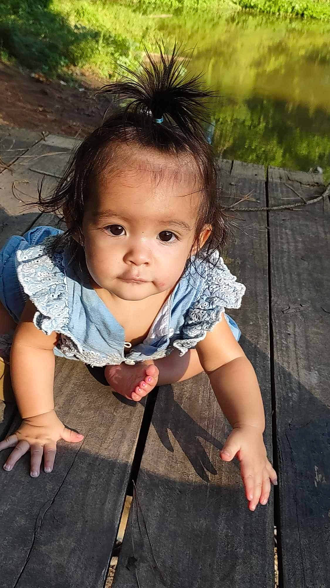 Scarlett Rose joined the competition — help win amazing prizes! baby_toddler_clothing, black_hair, child, face, flash_photography, fun, grass, happy, human_body, iris, leisure, lip, nose, people_in_nature, person, sitting, skin, standing, swing, toddler