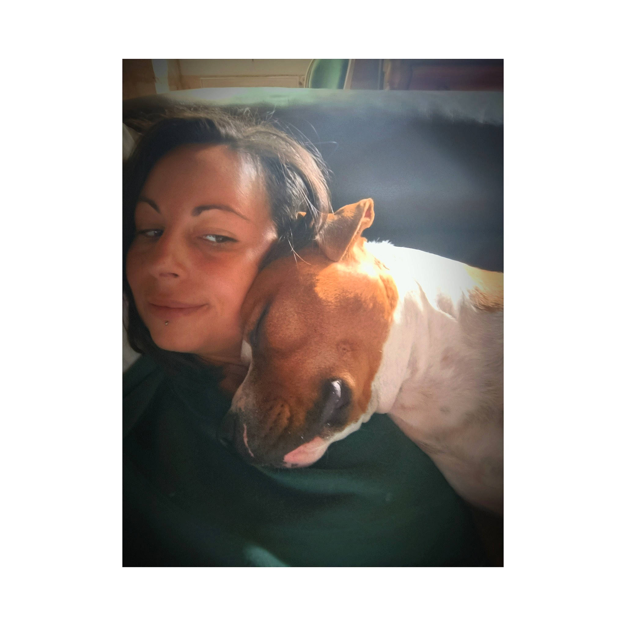 Troç a rejoint le concours — aidez-le/la à gagner de superbes lots ! canidae, carnivore, comfort, companion_dog, dog, dog_breed, fawn, fur, gesture, hair, happy, liver, photo_caption, selfie, sky, smile, sporting_group, square, whiskers, working_animal