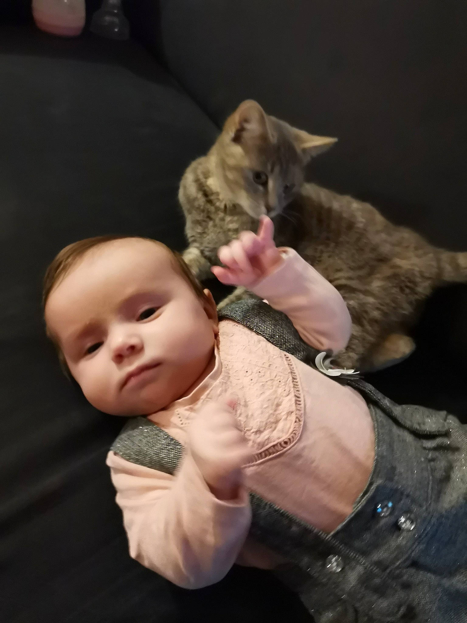 Anaël participe au concours pour gagner de l'argent avec cette photo : baby, baby_toddler_clothing, carnivore, cat, comfort, curious, denim, domestic_short_haired_cat, felidae, finger, fur, human, nail, person, skin, small_to_medium_sized_cats, thumb, vertebrate, whiskers
