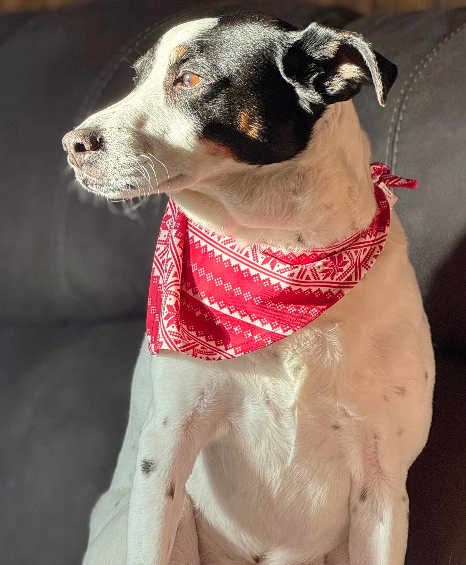 Duke
