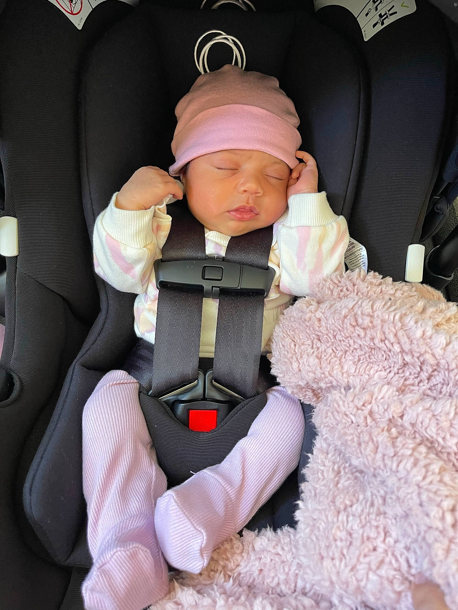 Luna joined the competition — help win amazing prizes! auto_part, baby, baby_carriage, baby_products, baby_toddler_clothing, beanie, cap, car_seat, car_seat_cover, child, comfort, family_car, fur, head_restraint, headwear, luxury_vehicle, person, personal_protective_equipment, seat_belt, sitting