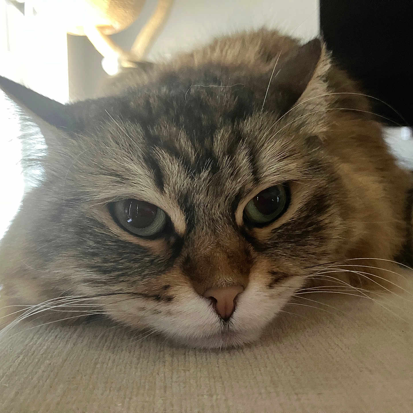 Kiki