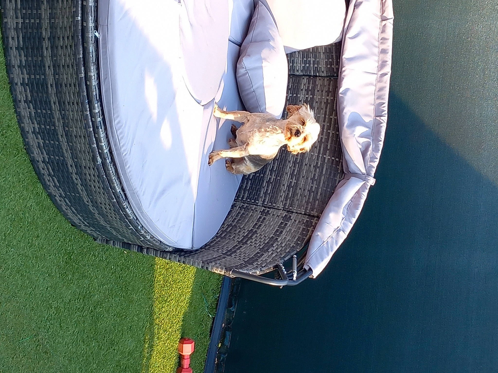 Angel a rejoint le concours — aidez-le/la à gagner de superbes lots ! auto_part, automotive_lighting, automotive_tire, automotive_wheel_system, circle, dress, electric_blue, grass, hood, motor_vehicle, plant, rim, sunglasses, synthetic_rubber, tie, tire, tire_care, vehicle_door, water, wheel