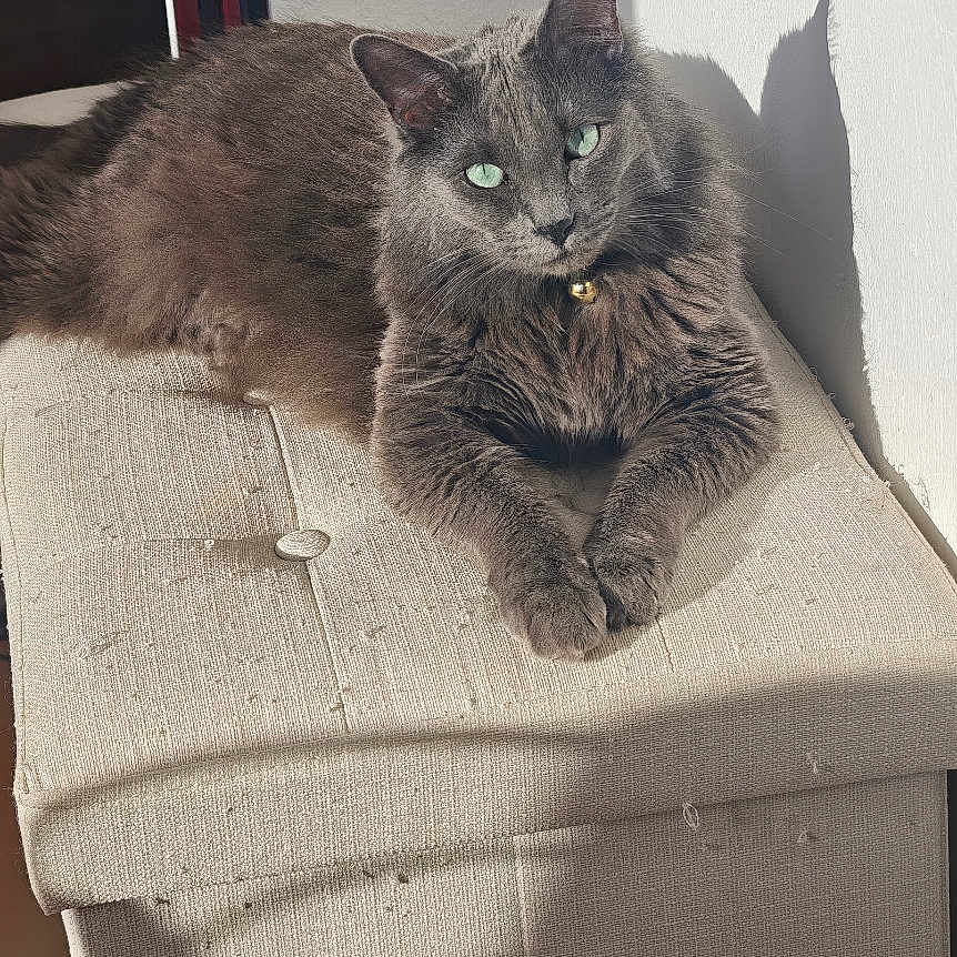 Azur