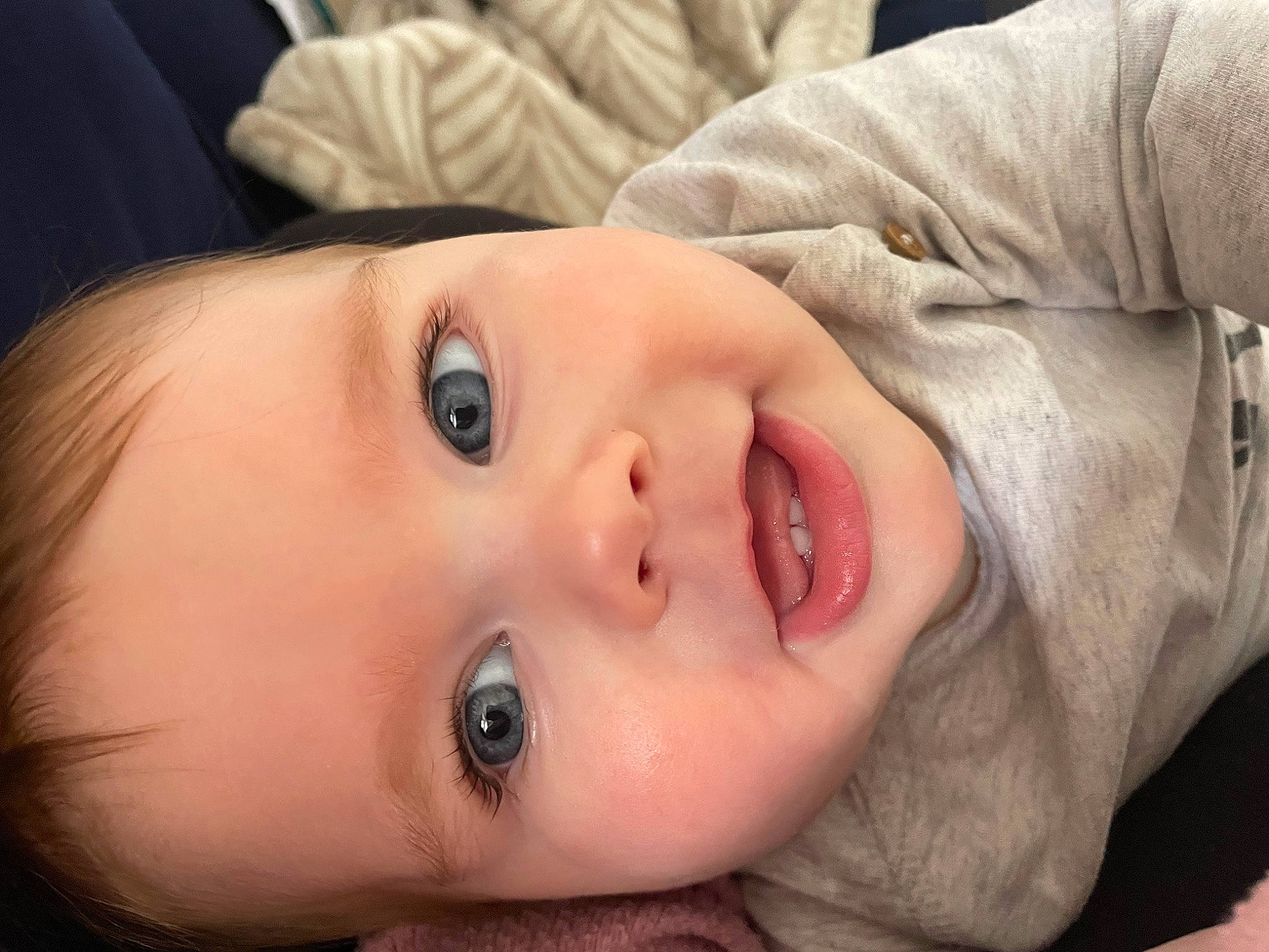 Louis is registered to the contest to win money with this photo: cheek, child, close_up, comfort, ear, eyebrow, eyelash, flash_photography, forehead, grass, iris, lip, mouth, neck, no_expression, nose, person, skin, smile, toddler