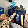 Ralph joined the competition — help win amazing prizes! toddler, child, cat, tabby_cat, toy, storage_organizer, stuffed_animal, blue, indoor, playroom, furniture, curious, pointing, clothing, face, blond_hair, soft_toy, basket, wooden_frame, wall