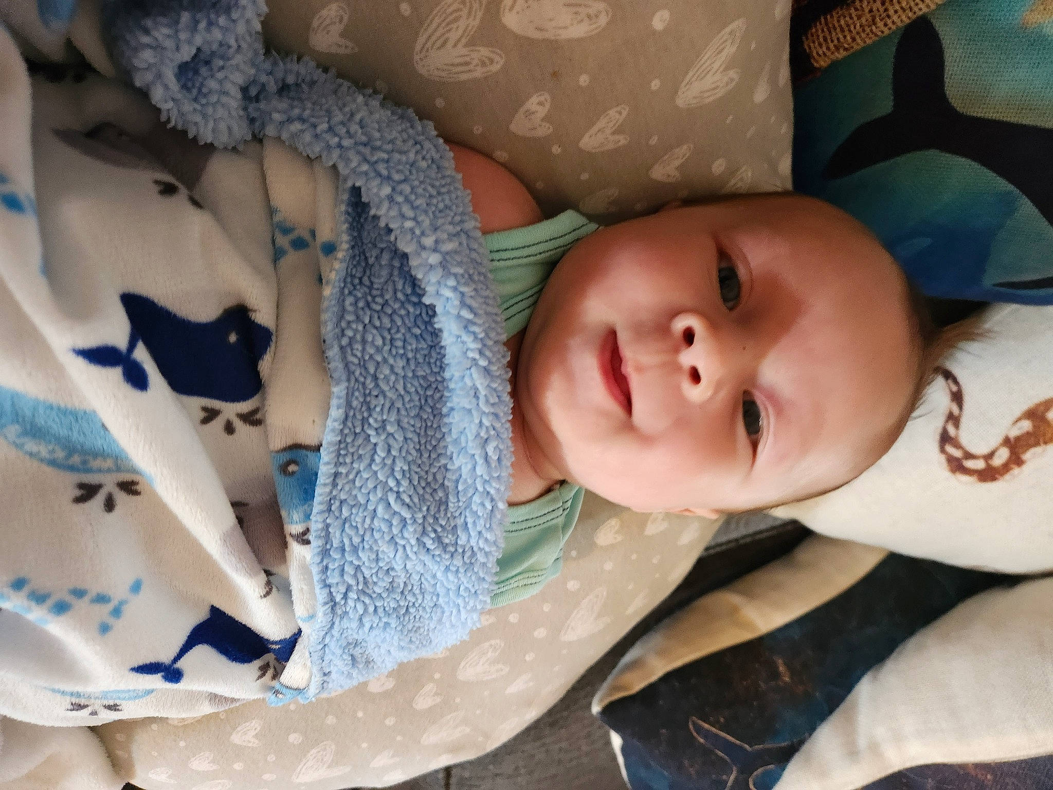 Morrison is registered to the contest to win money with this photo: baby, baby_products, baby_toddler_clothing, cheek, child, comfort, eyelash, fashion_accessory, happy, iris, linens, nap, pattern, person, sitting, skin, smile, textile, toddler, tree