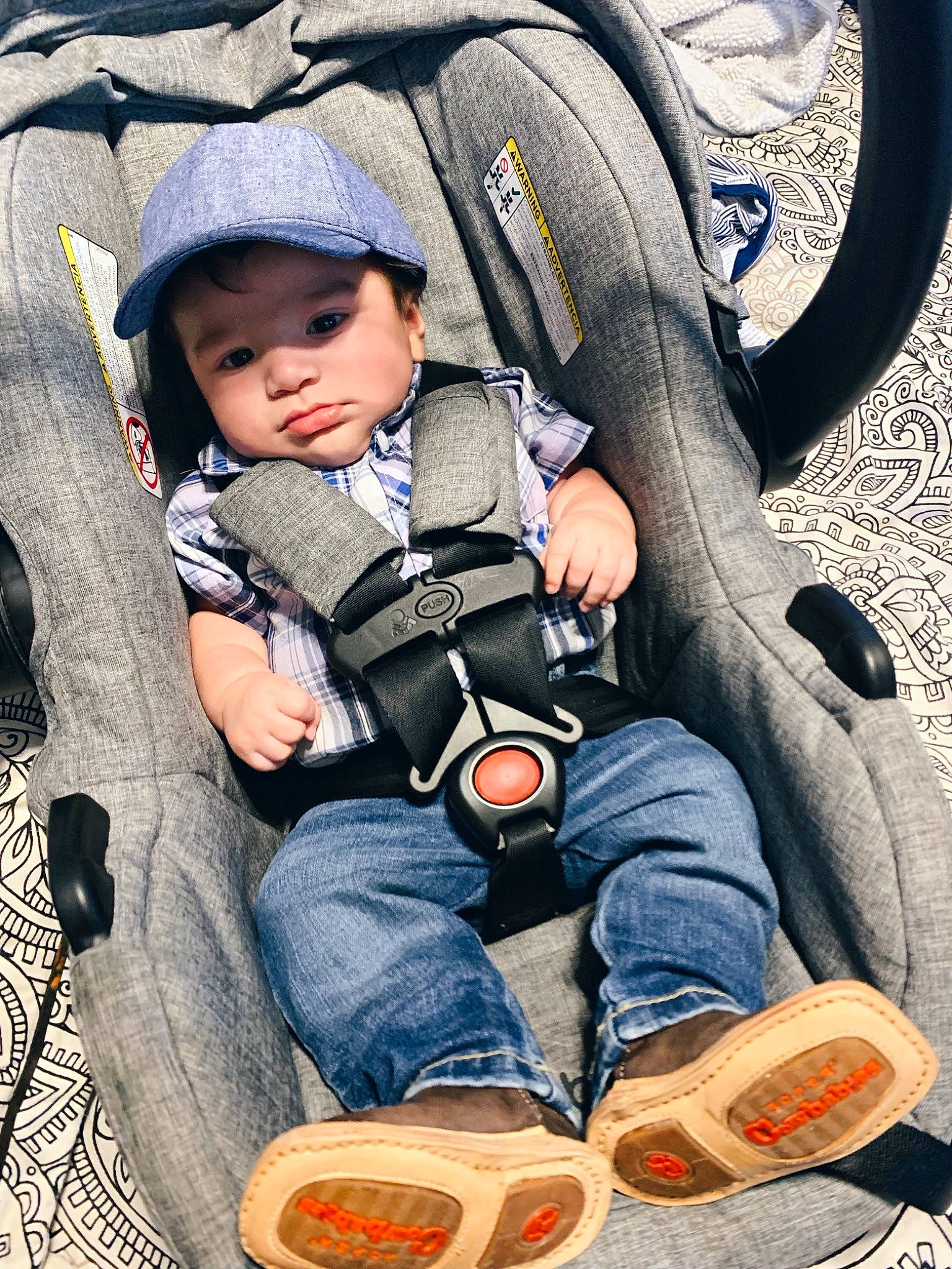 Ernie joined the competition — help win amazing prizes! child, denim, jeans, person, plant, play, sitting, smile, toddler, tree