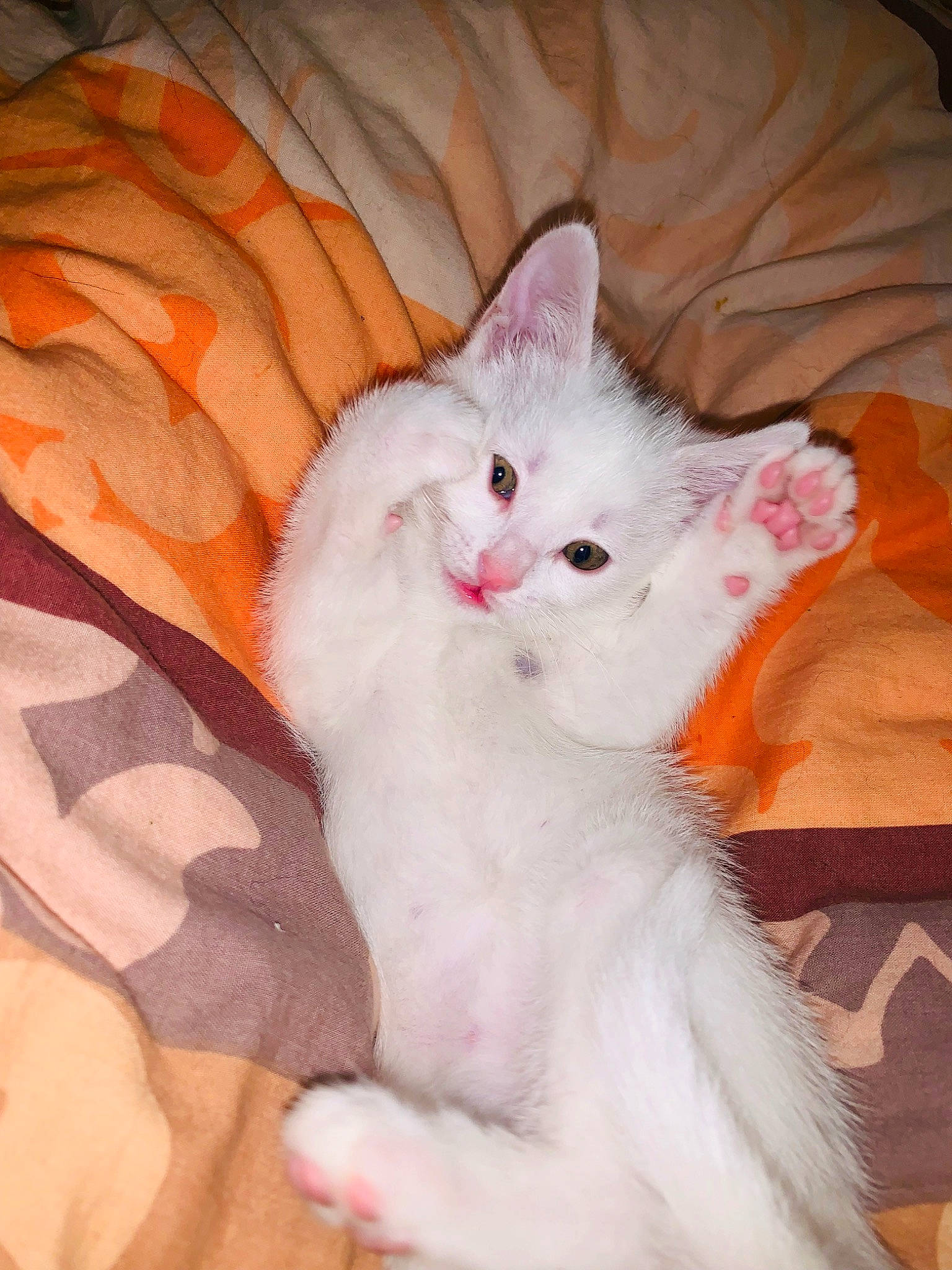 Mowgli