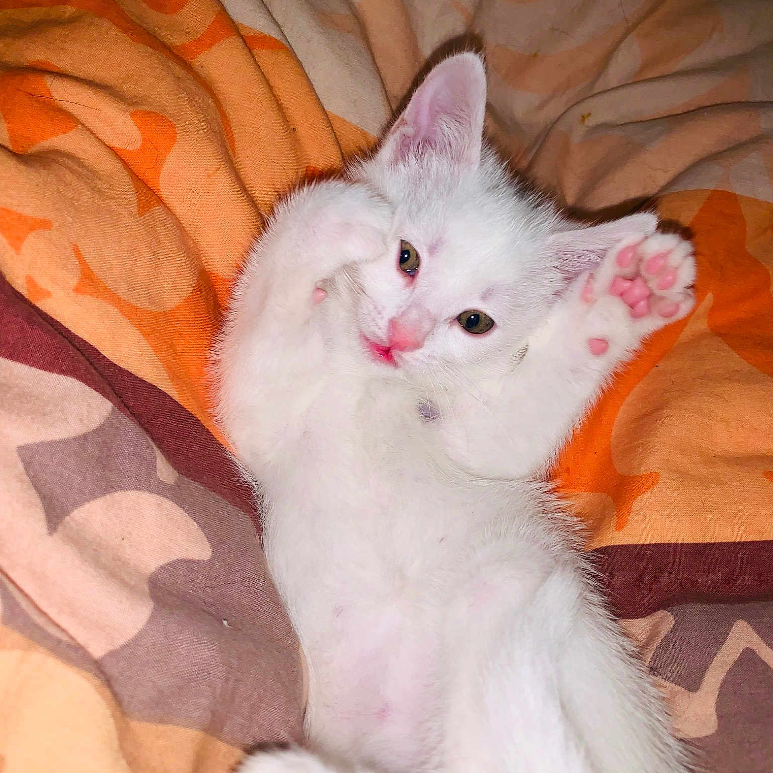 Mowgli