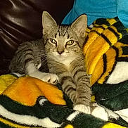 Blaze joined the competition — help win amazing prizes!